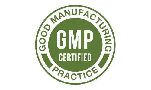 Morning Coffee Ritual GMP Certified